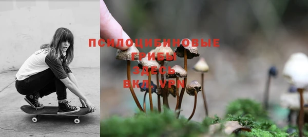 соль ск Михайловск