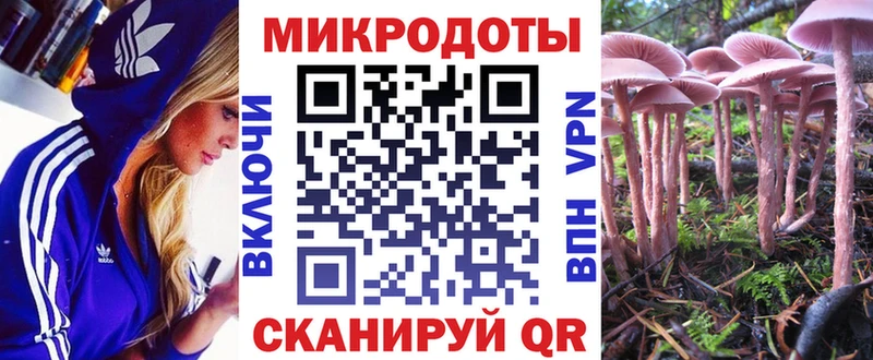 Псилоцибиновые грибы мицелий  Купить где  Инсар 